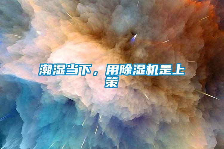潮濕當下,用除濕機是上策
