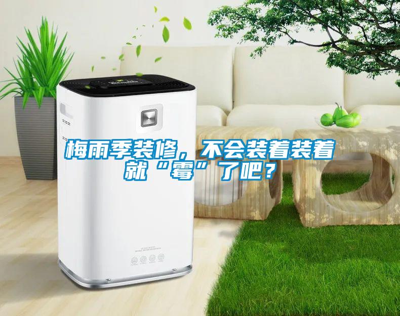 梅雨季裝修，不會裝著裝著就“霉”了吧？