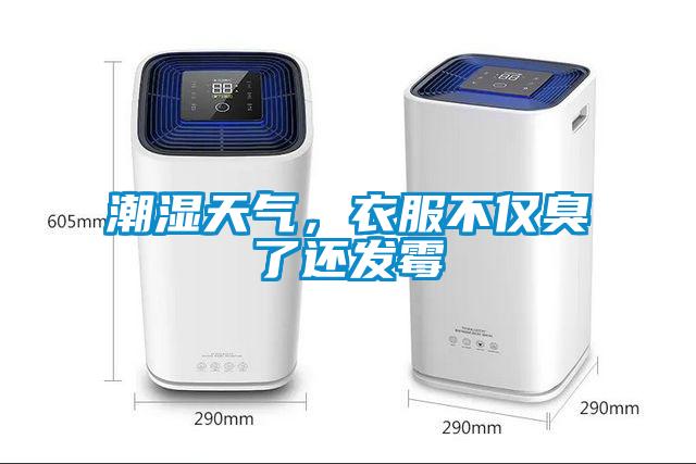 潮濕天氣,衣服不僅臭了還發霉