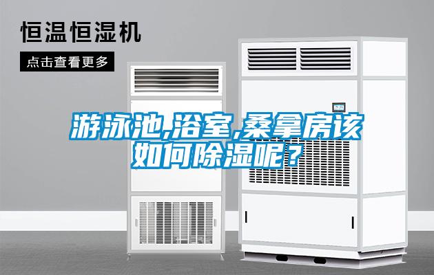 游泳池,浴室,桑拿房該如何除濕呢？