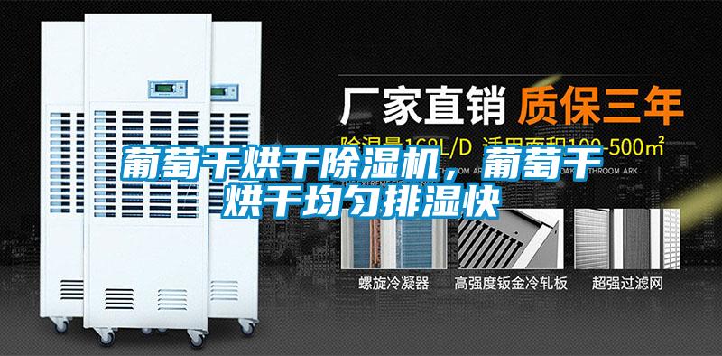 葡萄干烘干除濕機，葡萄干烘干均勻排濕快