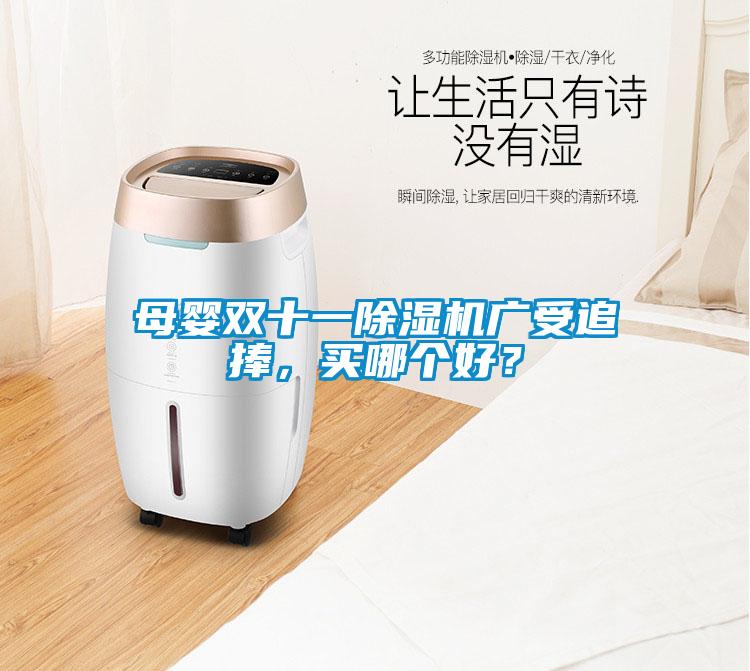 母嬰雙十一除濕機(jī)廣受追捧,買(mǎi)哪個(gè)好?