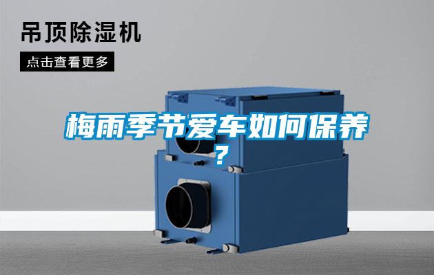 梅雨季節愛車如何保養？