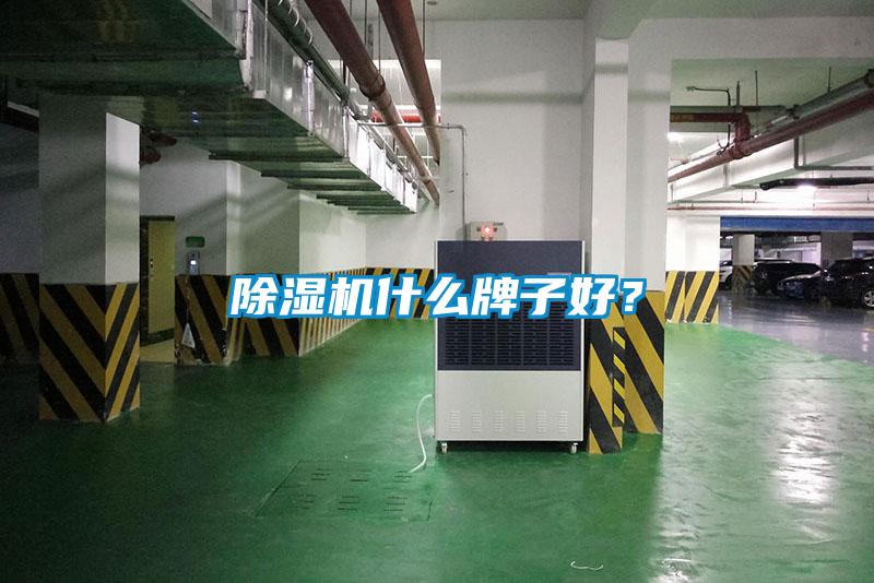 除濕機什么牌子好？