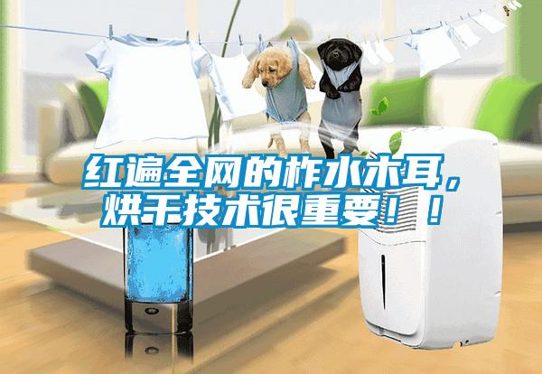 紅遍全網(wǎng)的柞水木耳，烘干技術(shù)很重要??！