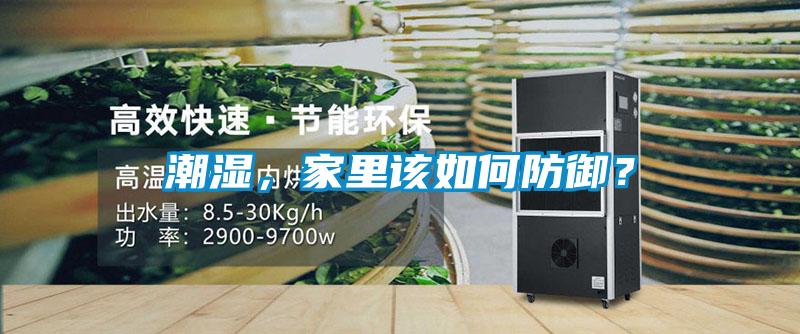 潮濕，家里該如何防御？