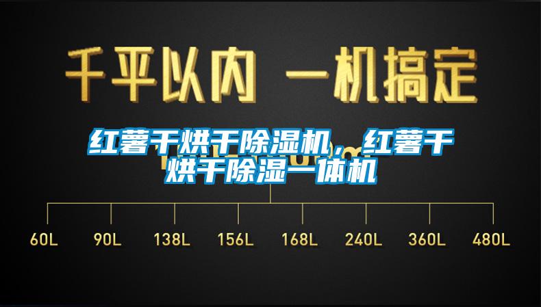 紅薯干烘干除濕機(jī),紅薯干烘干除濕一體機(jī)