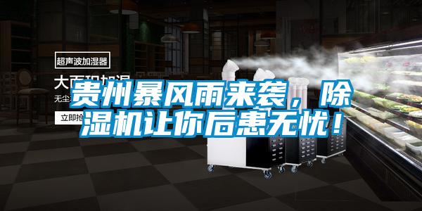 貴州暴風(fēng)雨來(lái)襲，除濕機(jī)讓你后患無(wú)憂(yōu)！
