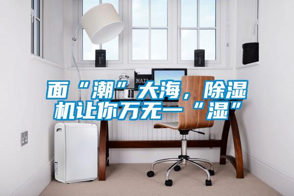 面“潮”大海，除濕機(jī)讓你萬無一“濕”