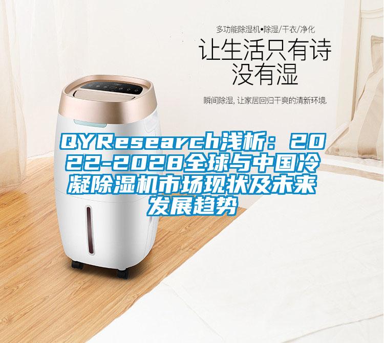 QYResearch淺析:2022-2028全球與中國冷凝除濕機(jī)市場現(xiàn)狀及未來發(fā)展趨勢
