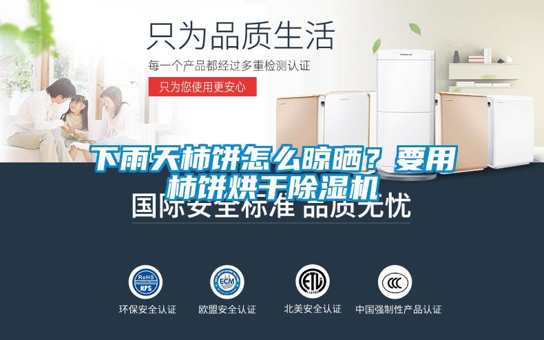 下雨天柿餅怎么晾曬？要用柿餅烘干除濕機(jī)