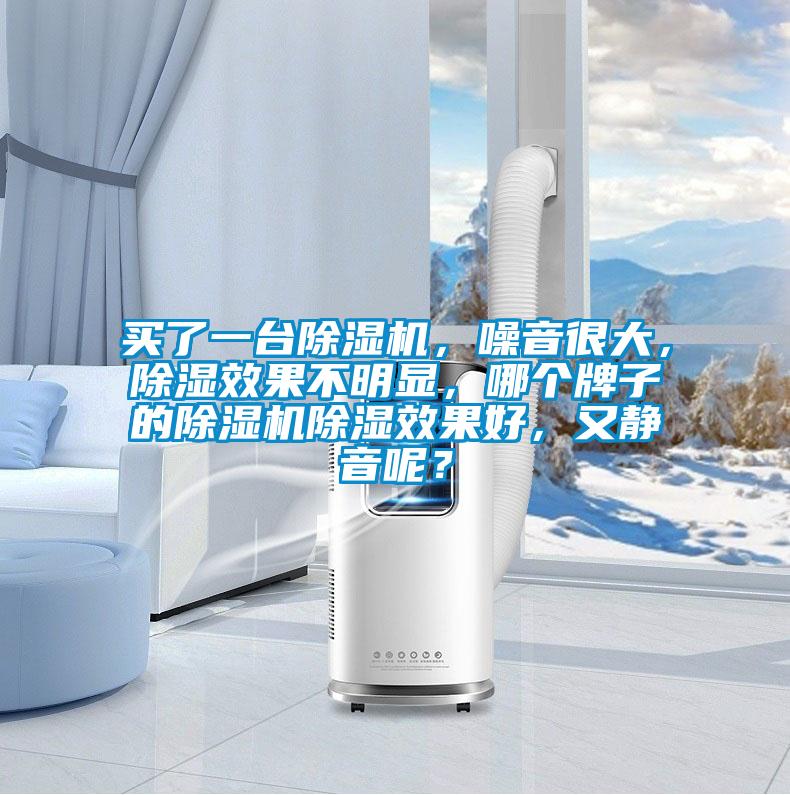 買了一臺除濕機，噪音很大，除濕效果不明顯，哪個牌子的除濕機除濕效果好，又靜音呢？