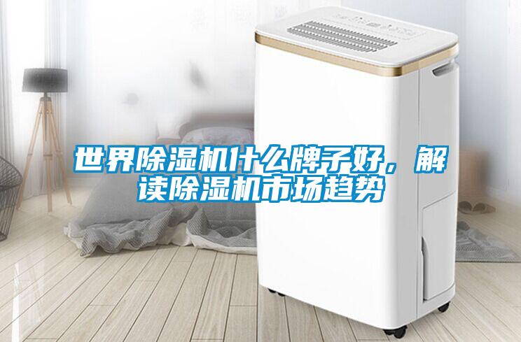 世界除濕機什么牌子好,解讀除濕機市場趨勢