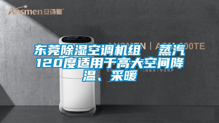 東莞除濕空調(diào)機組 蒸汽120度適用于高大空間降溫、采暖
