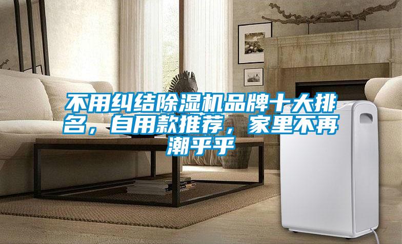 不用糾結(jié)除濕機品牌十大排名，自用款推薦，家里不再潮乎乎