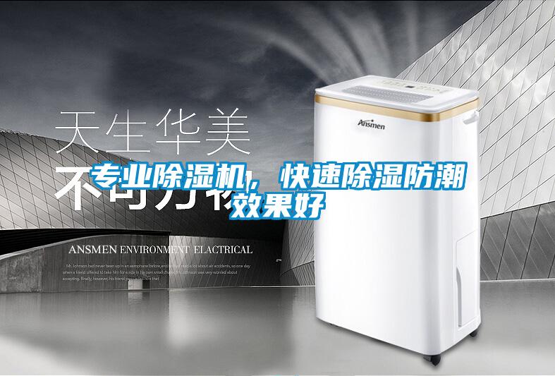 專業(yè)除濕機,快速除濕防潮效果好