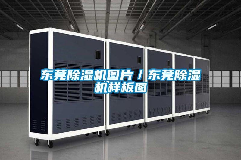 東莞除濕機圖片/東莞除濕機樣板圖