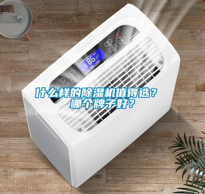 什么樣的除濕機(jī)值得選? 哪個(gè)牌子好?