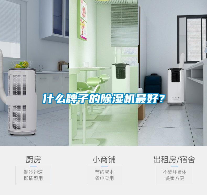什么牌子的除濕機最好？