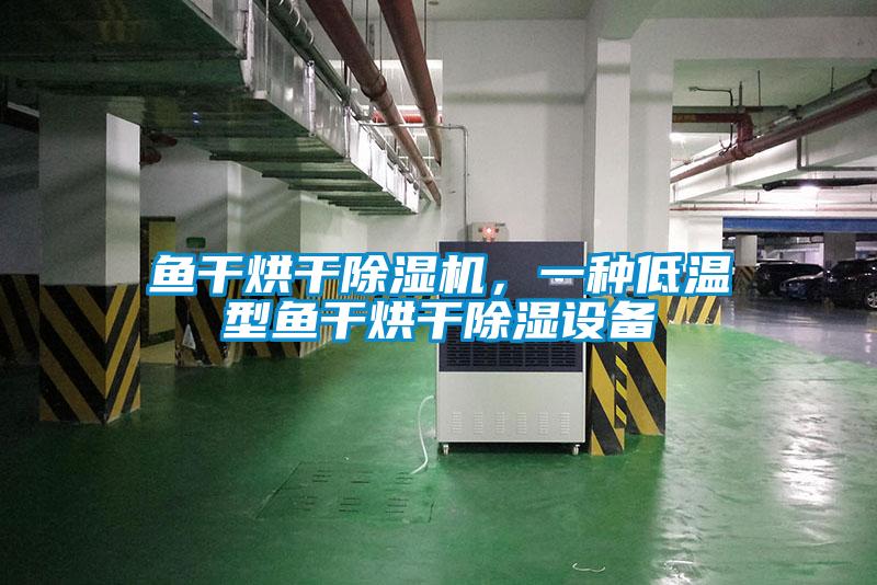 魚干烘干除濕機,一種低溫型魚干烘干除濕設備