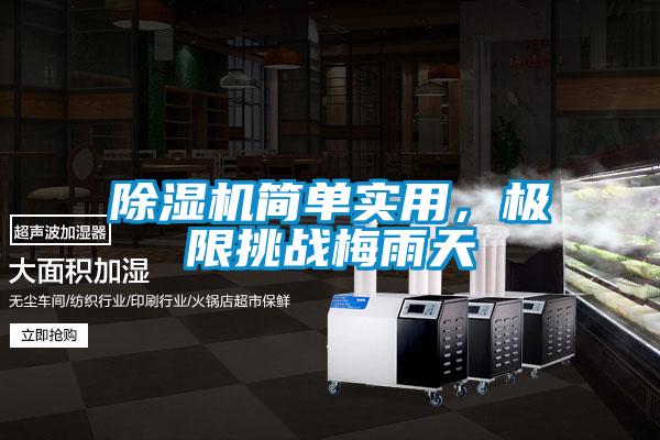 除濕機簡單實用,極限挑戰梅雨天