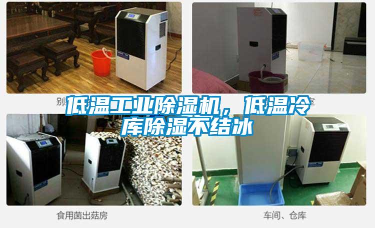 低溫工業除濕機,低溫冷庫除濕不結冰