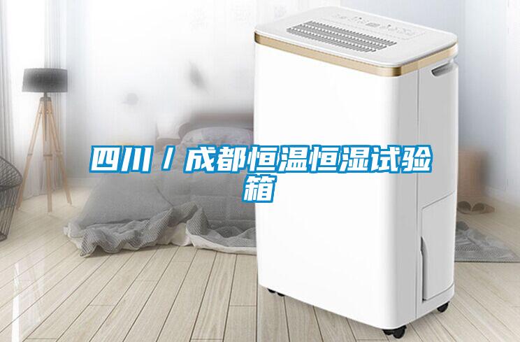 四川/成都恒溫恒濕試驗箱