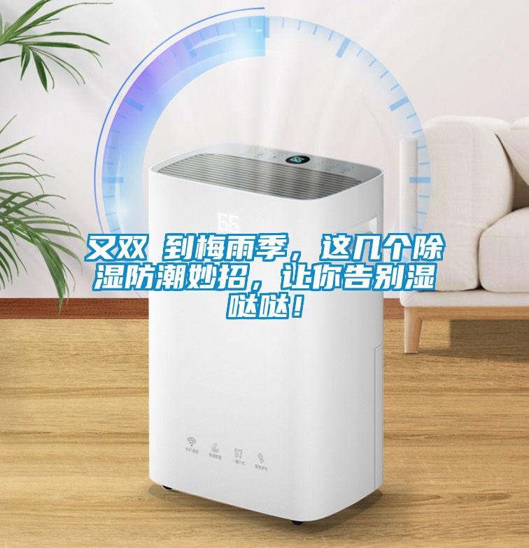 又雙叒到梅雨季,這幾個除濕防潮妙招,讓你告別濕噠噠!