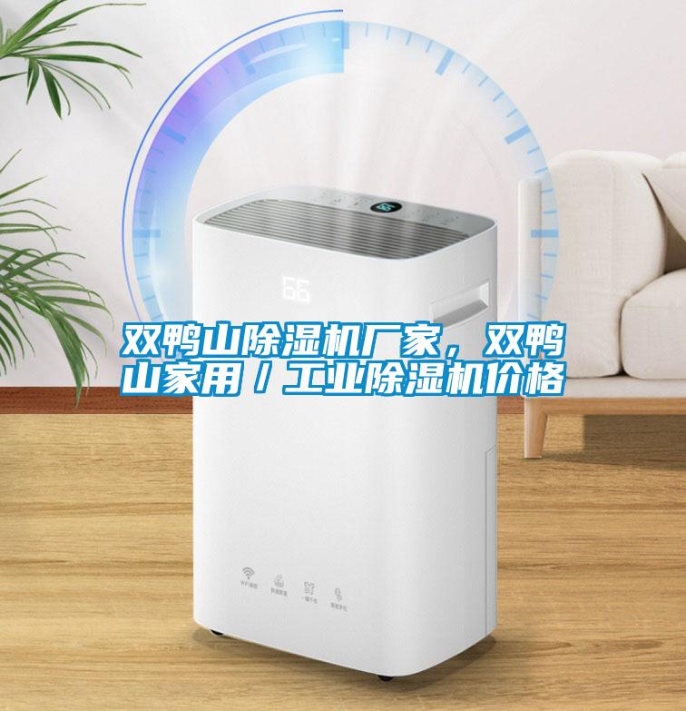 雙鴨山除濕機(jī)廠家，雙鴨山家用／工業(yè)除濕機(jī)價(jià)格