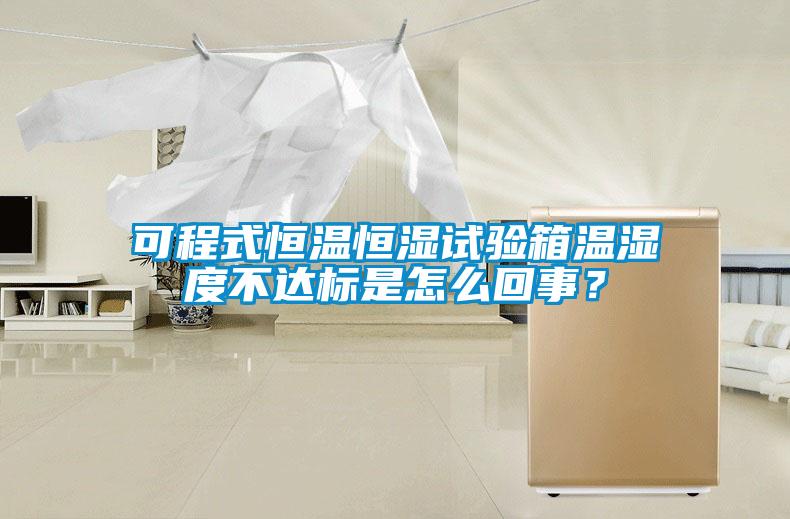 可程式恒溫恒濕試驗(yàn)箱溫濕度不達(dá)標(biāo)是怎么回事?