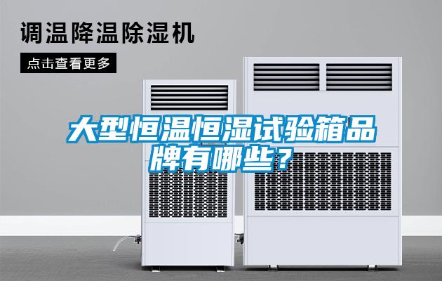 大型恒溫恒濕試驗箱品牌有哪些？