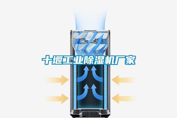 十堰工業除濕機廠家
