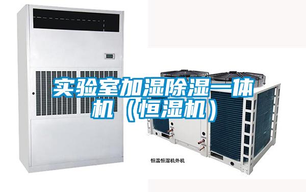 實(shí)驗(yàn)室加濕除濕一體機(jī)(恒濕機(jī))