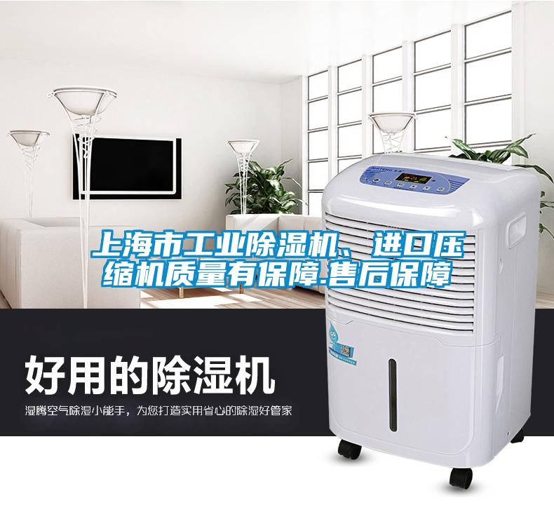 上海市工業除濕機、進口壓縮機質量有保障.售后保障