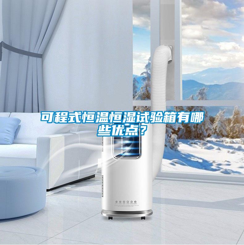 可程式恒溫恒濕試驗(yàn)箱有哪些優(yōu)點(diǎn)?