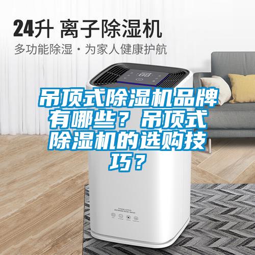 吊頂式除濕機品牌有哪些？吊頂式除濕機的選購技巧？