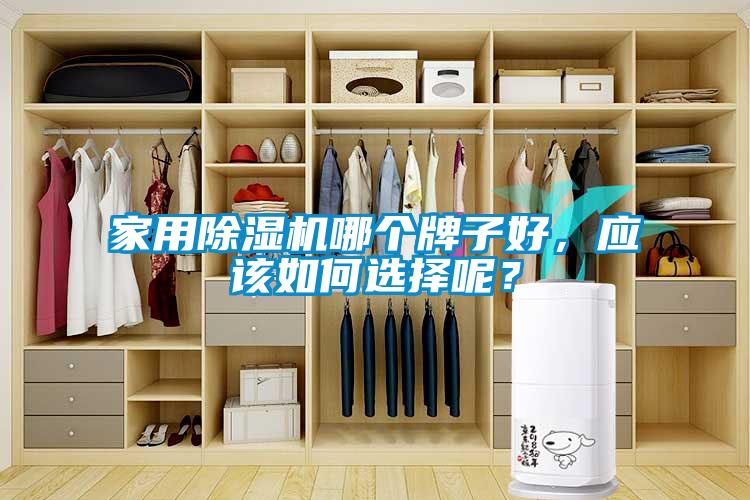 家用除濕機哪個牌子好，應(yīng)該如何選擇呢？