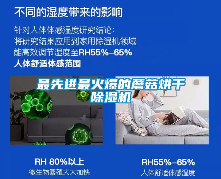 最先進(jìn)最火爆的蘑菇烘干除濕機