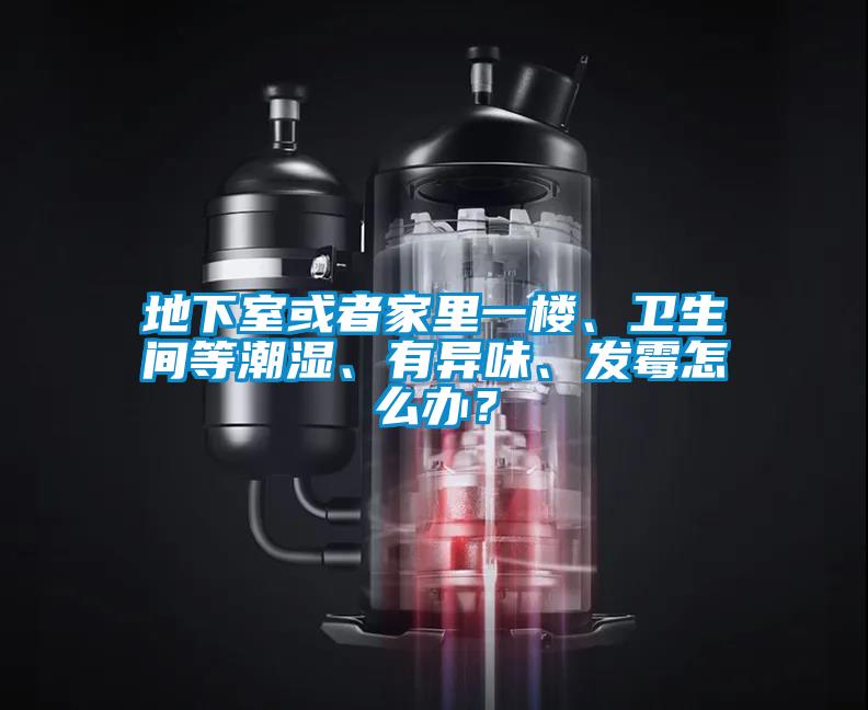 地下室或者家里一樓、衛生間等潮濕、有異味、發霉怎么辦？