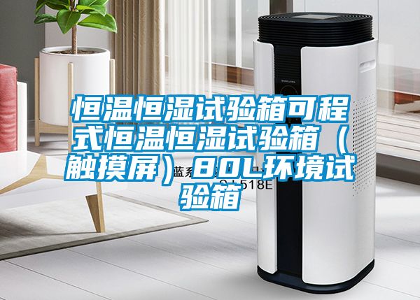 恒溫恒濕試驗箱可程式恒溫恒濕試驗箱(觸摸屏)80L環境試驗箱