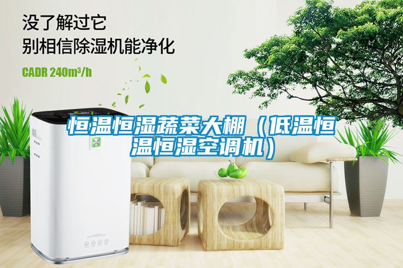 恒溫恒濕蔬菜大棚（低溫恒溫恒濕空調機）