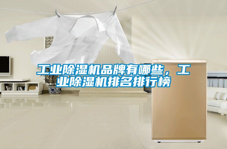 工業(yè)除濕機(jī)品牌有哪些，工業(yè)除濕機(jī)排名排行榜
