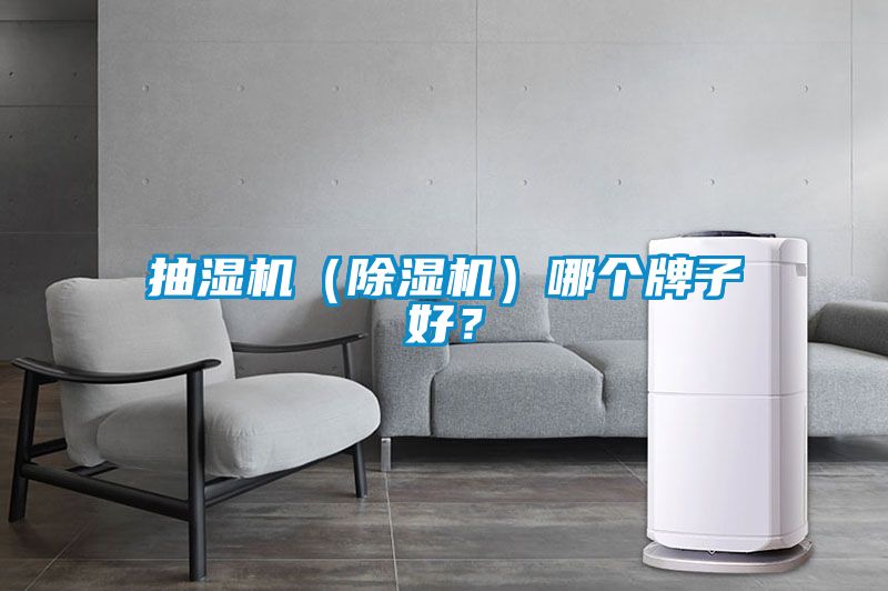 抽濕機(jī)（除濕機(jī)）哪個牌子好？