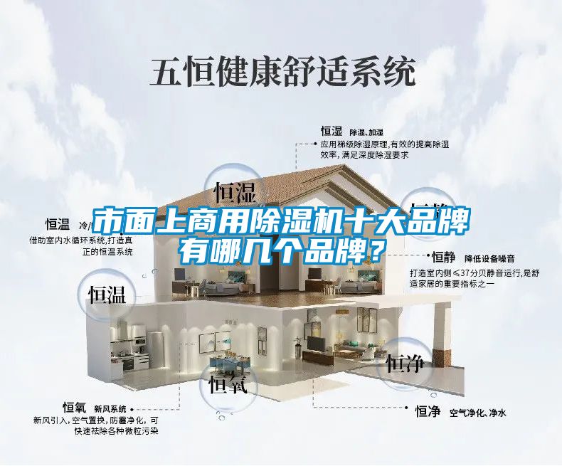 市面上商用除濕機十大品牌有哪幾個品牌？