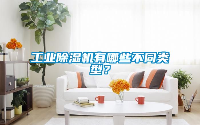 工業除濕機有哪些不同類型?