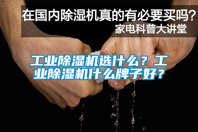 工業除濕機選什么？工業除濕機什么牌子好？