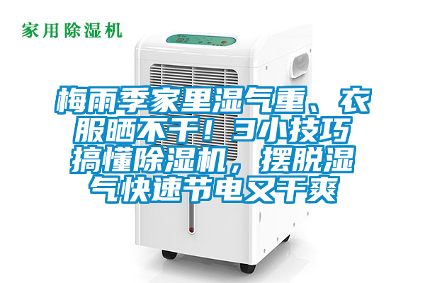梅雨季家里濕氣重、衣服曬不干！3小技巧搞懂除濕機(jī)，擺脫濕氣快速節(jié)電又干爽
