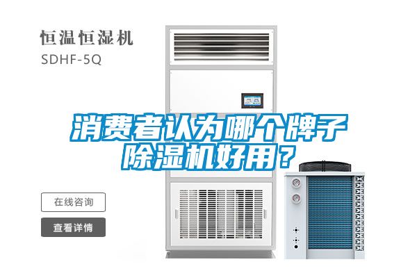 消費者認為哪個牌子除濕機好用？