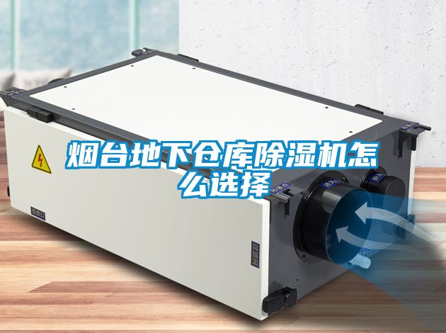煙臺地下倉庫除濕機(jī)怎么選擇