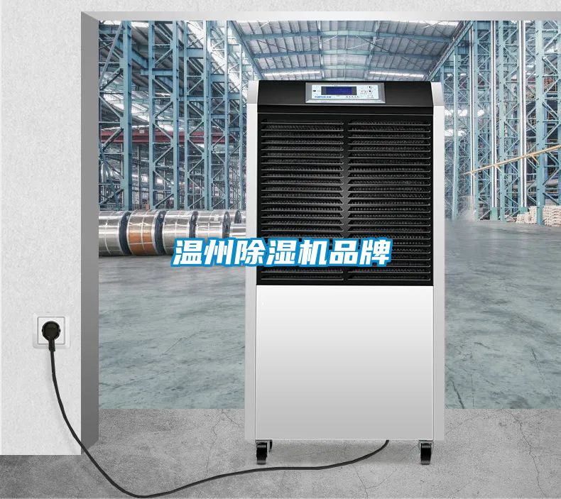 溫州除濕機品牌